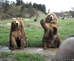 funny-gif-bears-waving-saying-goodbye.gif
